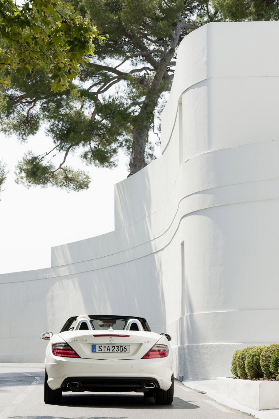  Mercedes-Benz SLK250 CDI 2012 года  (фото 5 из 10)